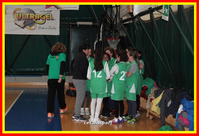 170107 basket 029_tn.jpg
